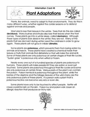Plant Adaptations Lesson Grades 2-3