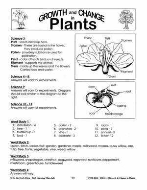 Diagram of a Flower Plant Lesson Grades 2-3