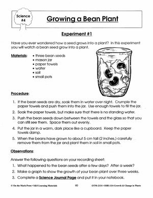 Growing a Bean Plant Experiment Grades 2-3