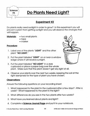 Do Plants Need Light? Experiment Grades 2-3