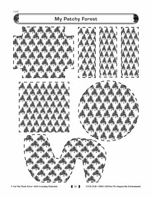 My Patchy Forest Lesson (environment) Grades 5-8