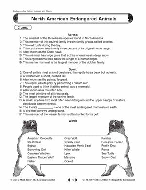 North American Endangered Animals Lesson Plan Grades 5-8