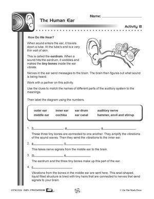 The Human Ear Lesson Plan Grades 4-6