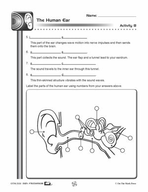 The Human Ear Lesson Plan Grades 4-6