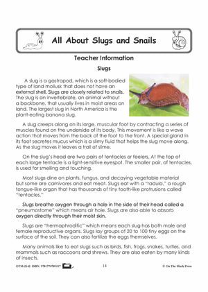 Slug Worksheet E Lesson Plan