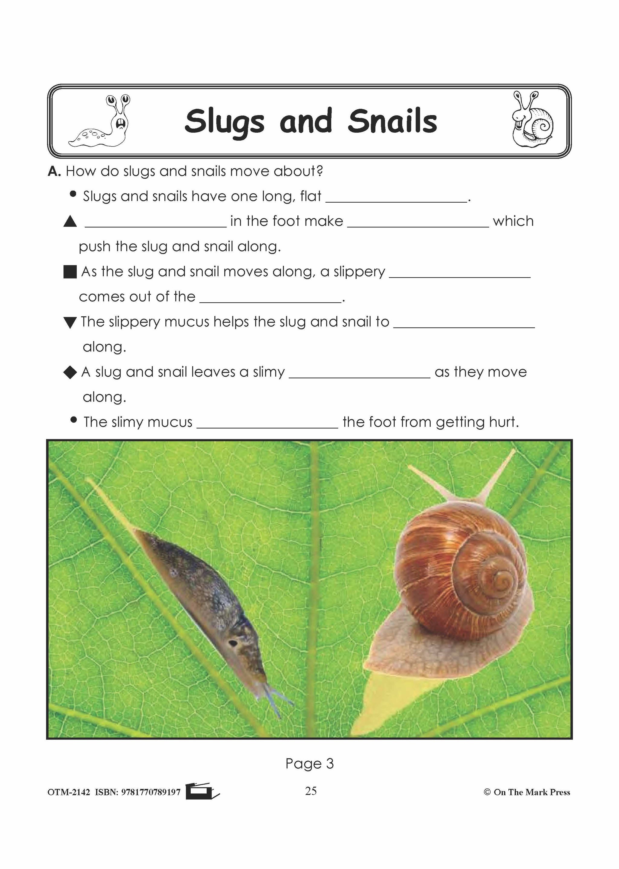 Slug Worksheet Slugs & Snails Student Booklet Grades 1-3