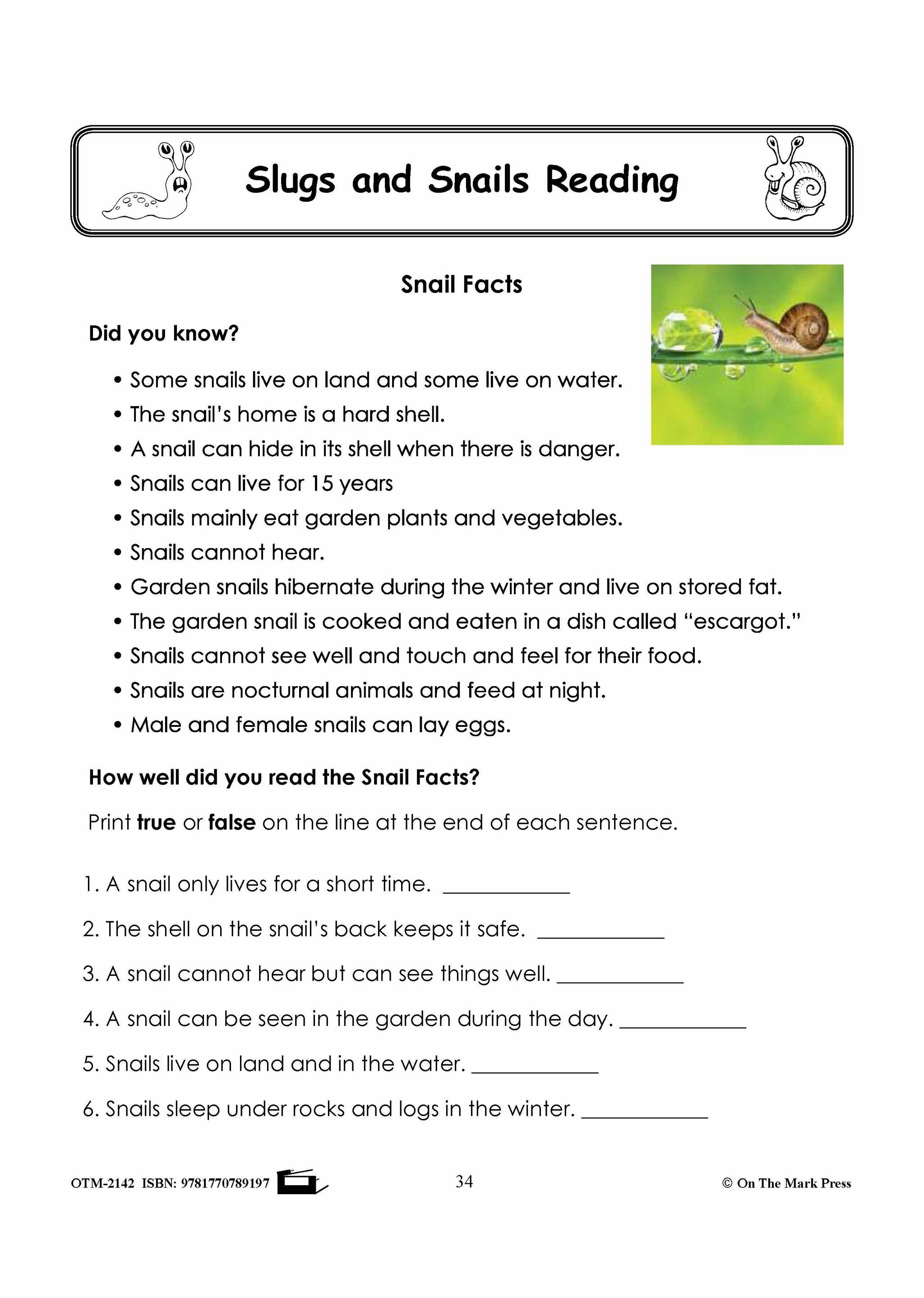Slug Worksheet Slugs & Snails Reading Stories & Worksheets Grades 1-3