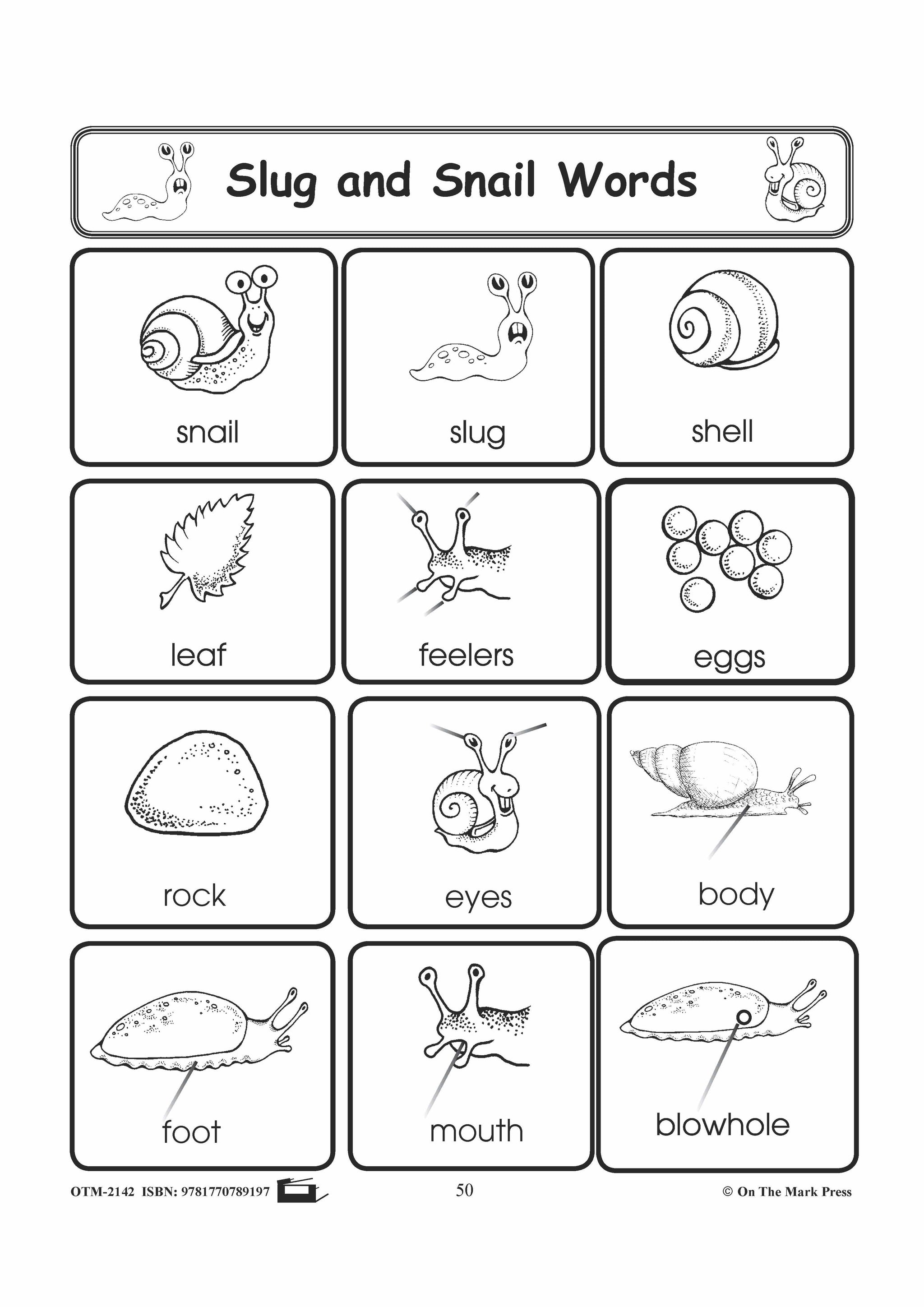Slug Worksheet Slugs & Snails Vocabulary Activities Grades 1-3