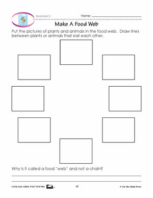 Food Energy Grade 1 Lesson