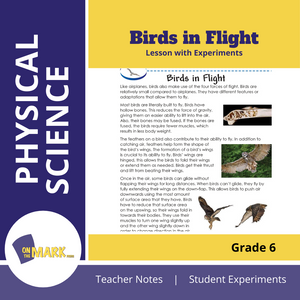 Birds in Flight Grade 6 Lesson with Experiments