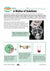 Solutions & Mixtures: The Particle Theory Grade 8 Lesson with Experiments