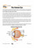 Opitcal Sptectrums Grade 8 Lesson with Experiments