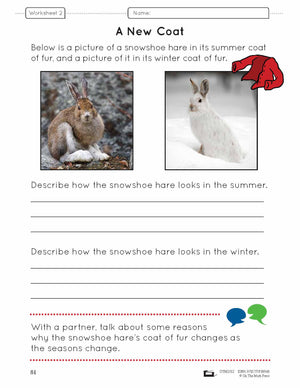 Animal Adaptations Lesson Plan Grade 1