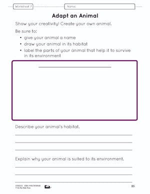 Animal Adaptations Lesson Plan Grade 1