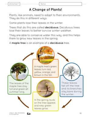 Plant Adaptations Grade 1 Lesson Plan