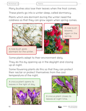 Plant Adaptations Grade 1 Lesson Plan