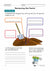 Types of Soils Lesson Plan Grade 3