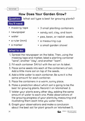 Growing in the Garden Lesson Plan Grade 3