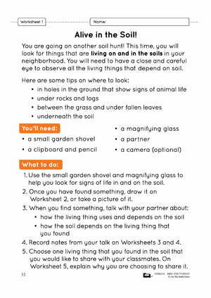 Living in the Soil Lesson Plan Grade 3