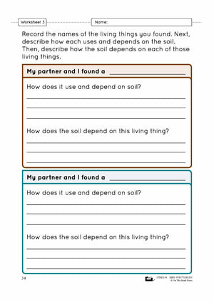 Living in the Soil Lesson Plan Grade 3