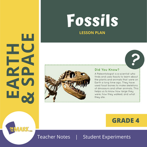 Fossils Grade 4 Lesson Plan