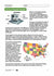 Earthquakes Grade 7 Lesson Plan