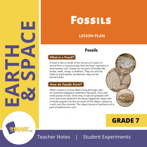 Fossils Grade 7 Lesson Plan