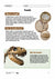 Fossils Grade 7 Lesson Plan