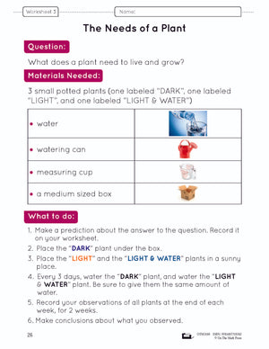 The Plant World Grade 1 Lesson Plan and Activities