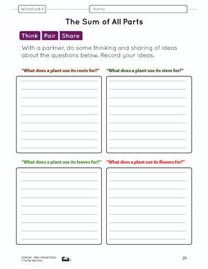 The Plant World Grade 1 Lesson Plan and Activities