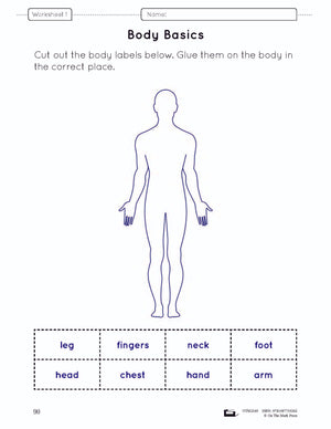 Human Body Lesson & Worksheets Gr. 1 (body parts location and function)