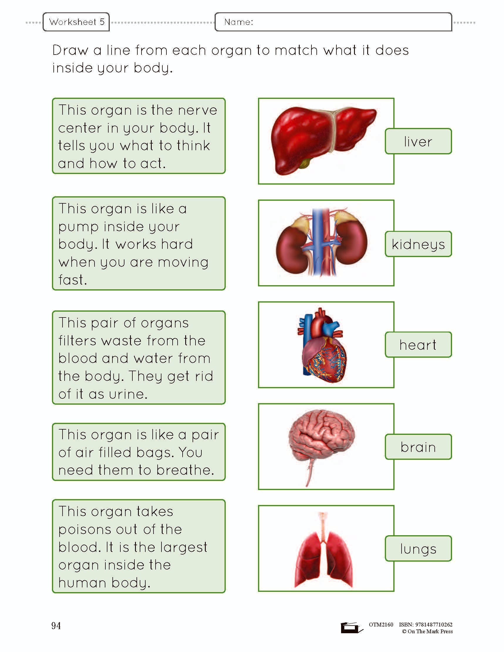 Science Body Part Function. Worksheet Worksheets Human Body 21 Parts Of Human Body Parts Worksheets And