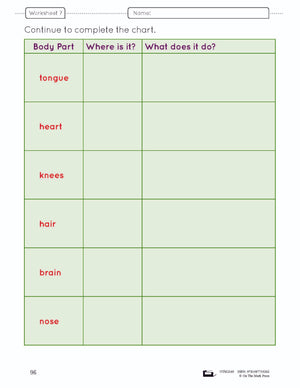 Human Body Lesson & Worksheets Gr. 1 (body parts location and function)