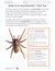 Invertebrates e-Lesson Plan Grade 2