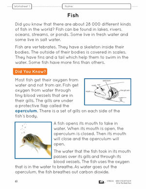 Fish Lesson and Activities Grade 2
