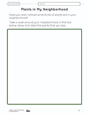 Plants Lesson Plan Grade 3