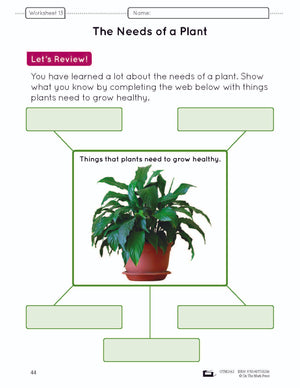 What do Plants Need? Grade 3