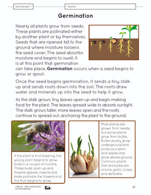 How Plants Grow Grade 3 (eLesson Plan)