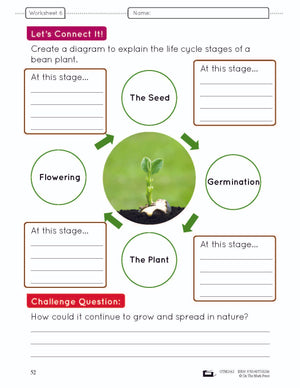 How Plants Grow Grade 3 (eLesson Plan)