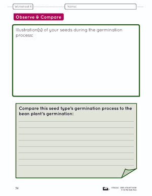 How Plants Grow Grade 3 (eLesson Plan)