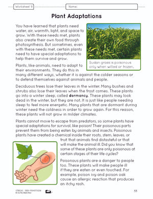 How Plants Grow Grade 3 (eLesson Plan)