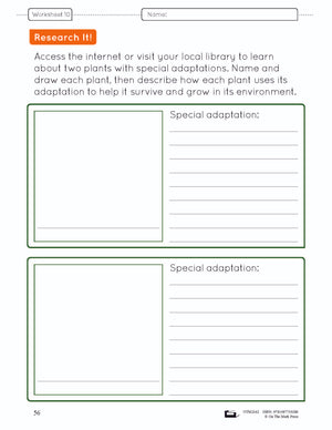 How Plants Grow Grade 3 (eLesson Plan)