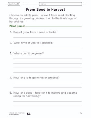 Growing Plants for Food Grade 3 (eLesson Plan)