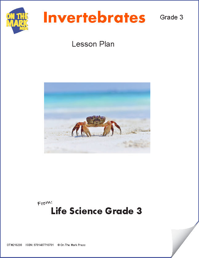 Invertebrates Lesson Plan Grade 3