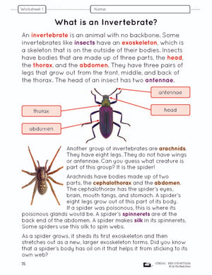 Invertebrates Lesson Plan Grade 3