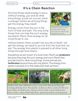 Food Chains & Webs e-Lesson Plan Grade 4