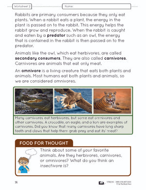 Food Chains & Webs e-Lesson Plan Grade 4