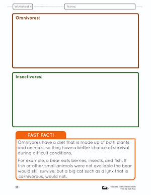 Food Chains & Webs e-Lesson Plan Grade 4