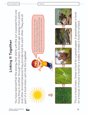 Food Chains & Webs e-Lesson Plan Grade 4