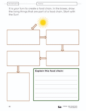 Food Chains & Webs e-Lesson Plan Grade 4